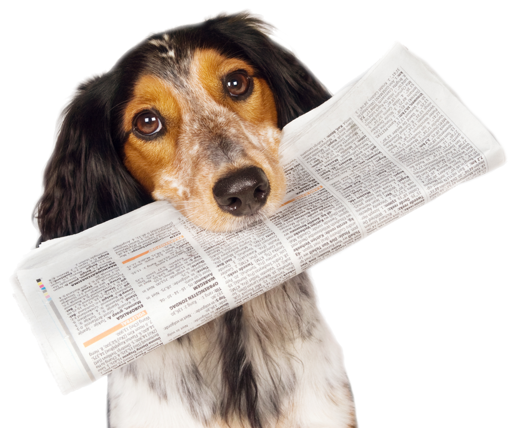 Great Plains SPCA In The News Virtual Media Kit