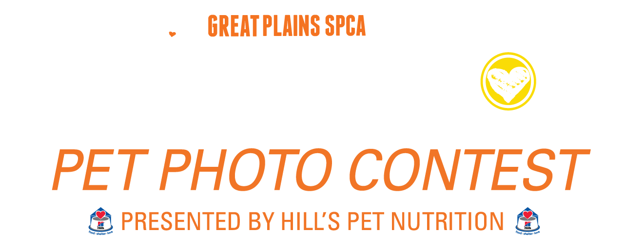 Best In Show Logo