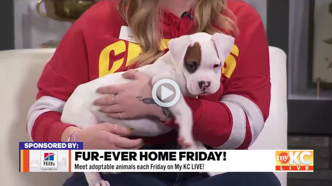 FurEver Home Friday: Puppy Predictions with Great Plains SPCA