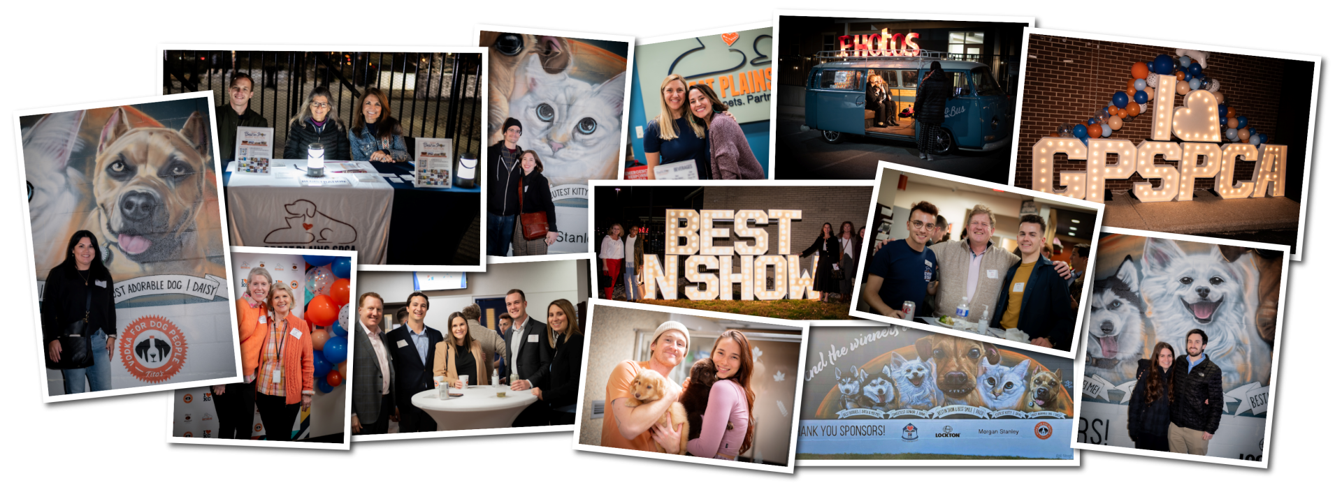 Best In Show Live Event