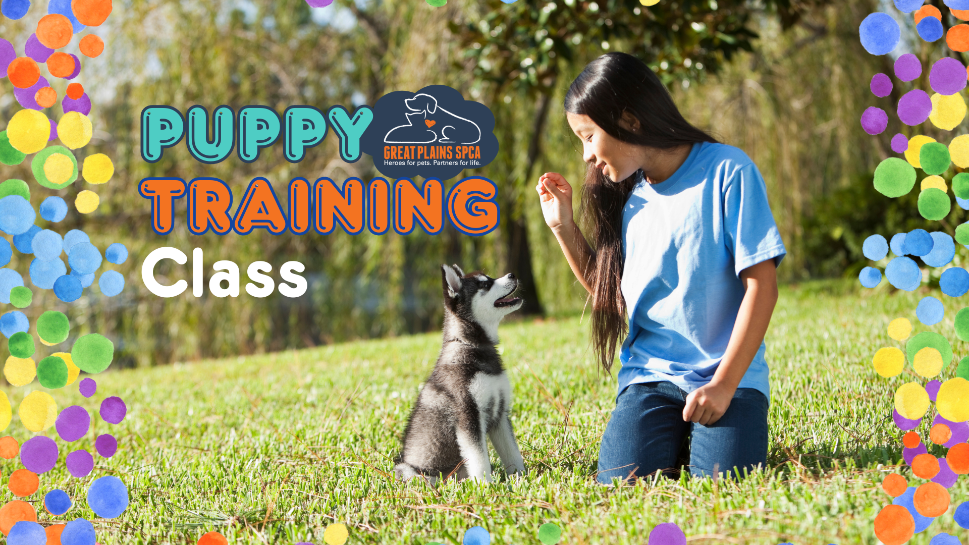 Puppy Training Session