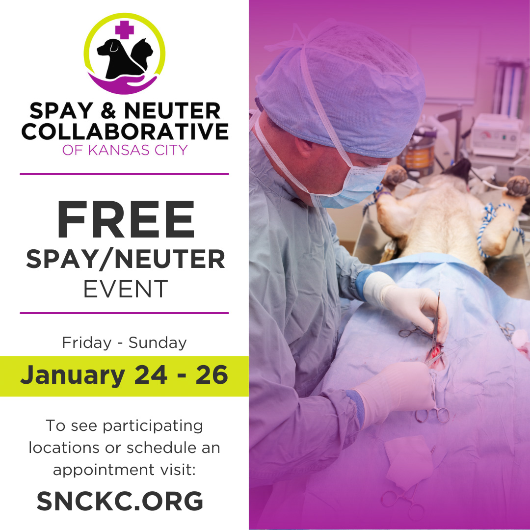 Spay & Neuter Collaborative of KC FREE Clinic