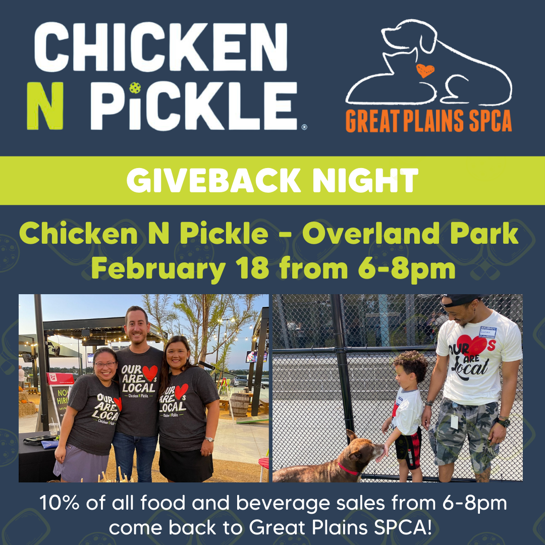 Chicken N Pickle Giveback Night