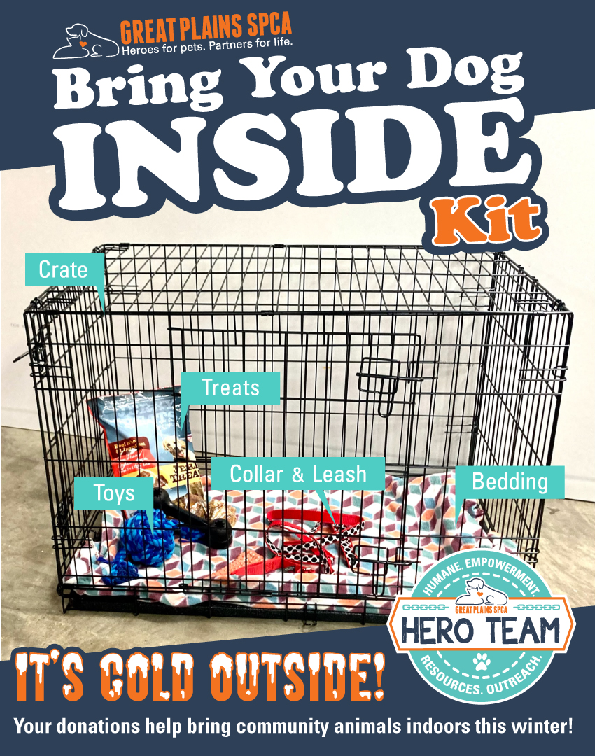 Bring Your Pet Inside Kit Giveaway